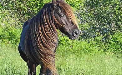 La Quintana de Foncalada en Agüero (Asturias) - Foto 3
