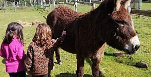 La Quintana de Foncalada 004