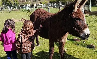 La Quintana de Foncalada en Agüero (Asturias) - Foto 4