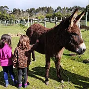 La Quintana de Foncalada 001