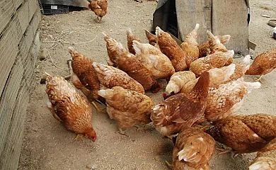 La Casona de Amaido en San Tirso de Abres (Asturias) - Foto 3