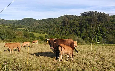 Fuente San Antonio en Cabranes (Asturias) - Foto 1