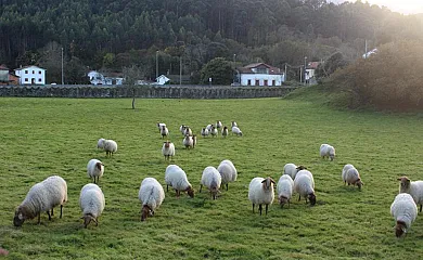 Hotel Pugide en Llanes (Asturias) - Foto 1