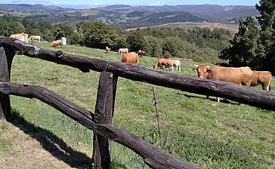 La Posada de Oscos en Santa Eulalia de Oscos (Asturias) - Foto 1