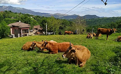 El Berañizu en Parres (Asturias) - Foto 1