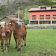 Apartamentos Blanca Senda del Oso 001