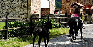 Apartamentos Rurales Ca Lulón 003