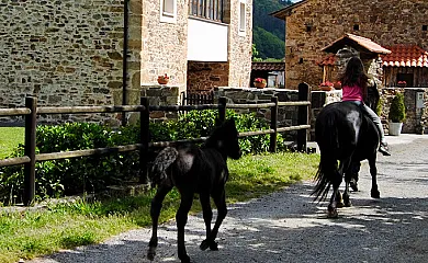 Apartamentos Rurales Ca Lulón en Tineo (Asturias) - Foto 3