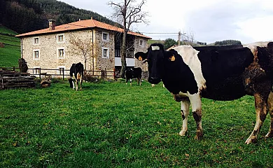 Apartamentos Rurales Ca Lulón en Tineo (Asturias) - Foto 1