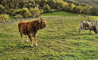 Casa Remis en Piloña (Asturias) - Foto 1