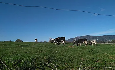 Casa Pepín - Sagasta Rural en Oviedo (Asturias) - Foto 3