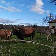 Casa Pepín - Sagasta Rural 001