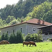 La Casona de Belmonte de Miranda 001