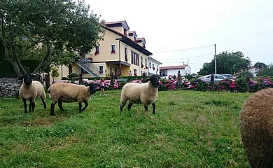 El Frade en Ribadesella (Asturias) - Foto 2
