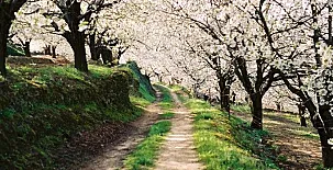 Apartamento Rural San Jorge Bajo 0017