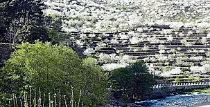 Apartamento Rural San Jorge Bajo 0025