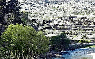 Apartamento Rural San Jorge Bajo en Navaconcejo (Cáceres) - Foto 25