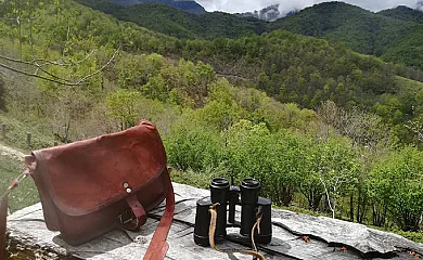 Casería La Infiesta en Caso (Asturias) - Foto 4