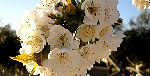 Complejo Rural Turimaestrat 006