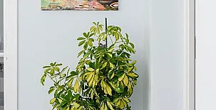 Casa Rural Duran 0011