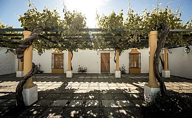 Hacienda Carboneras en Torrecampo (Córdoba) - Foto 13