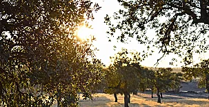 Hacienda Carboneras 0027