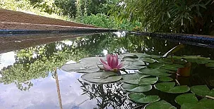 Fuente Cárdena 0034