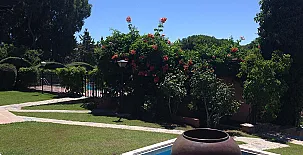 Fuente Cárdena 0035