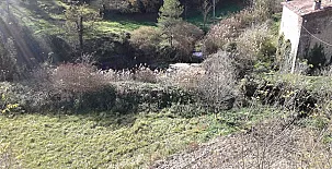 Cal Capita Sora 0015