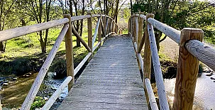 Fuente Cárdena 0037