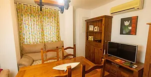 Viola Cazorlensis 002