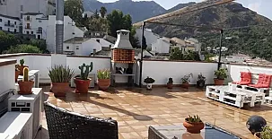 Viola Cazorlensis 003