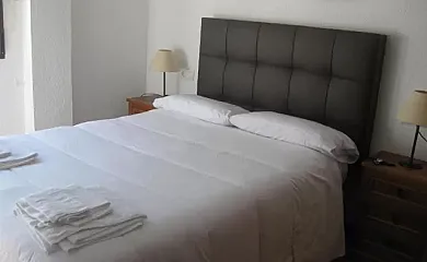 Viola Cazorlensis en Cazorla (Jaén) - Foto 4