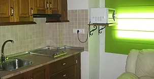 Viola Cazorlensis 005