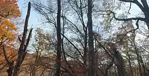 Alojamientos El Horno 0022