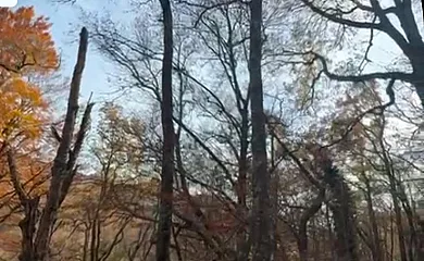 Alojamientos El Horno en Montejo de la Sierra (Madrid) - Foto 22