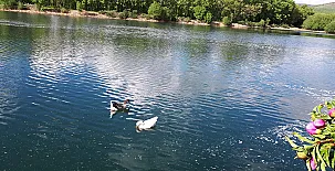 Alojamientos El Horno 0023