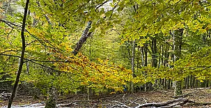 Alojamientos El Horno 0024