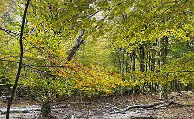 Alojamientos El Horno en Montejo de la Sierra (Madrid) - Foto 24