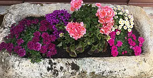 Alojamientos El Horno 0025