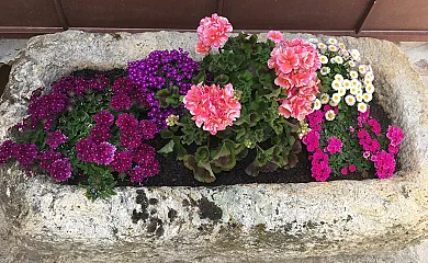 Alojamientos El Horno en Montejo de la Sierra (Madrid) - Foto 25