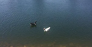 Alojamientos El Horno 0029