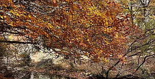 Alojamientos El Horno 0031