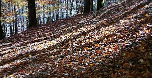 Alojamientos El Horno 0034