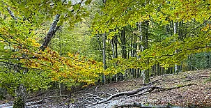 Alojamientos El Horno 0035