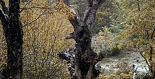 Alojamientos El Horno 0036