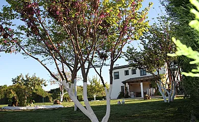 Cortijo Barrera en El Bosque (Cádiz) - Foto 3