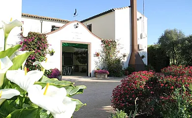 Cortijo Barrera en El Bosque (Cádiz) - Foto 15