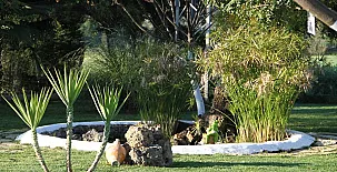 Cortijo Barrera 0017