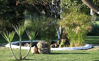 Cortijo Barrera en El Bosque (Cádiz) - Foto 17